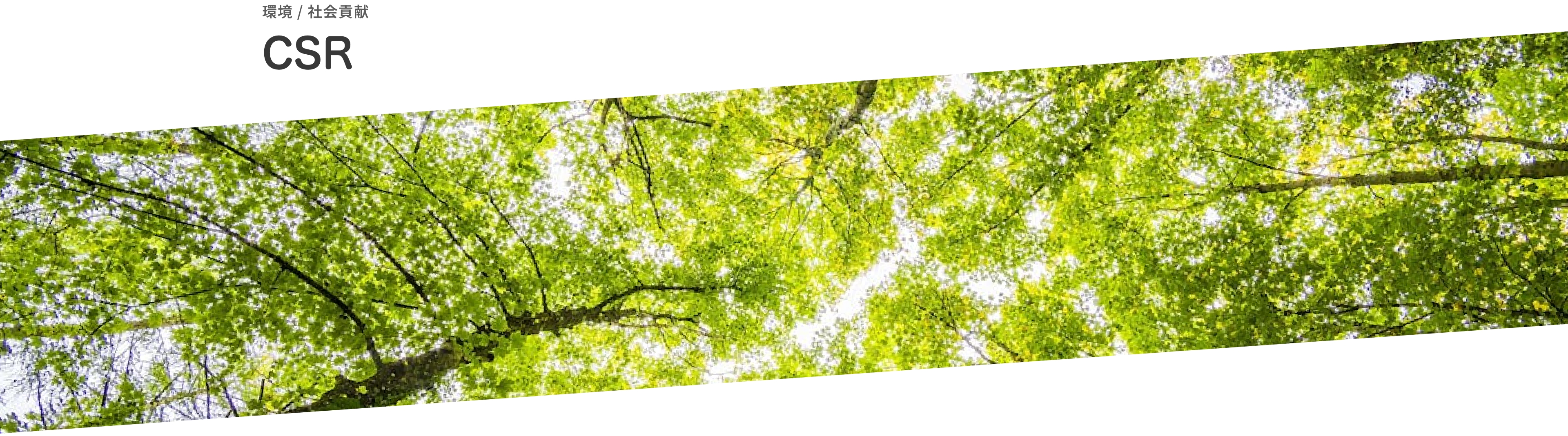 環境/社会貢献|CSR